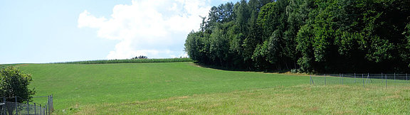 image-114