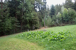 unsere-anlage-12
