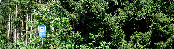 image-113