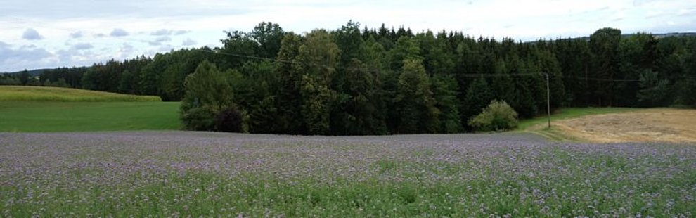 unsere-anlage-37