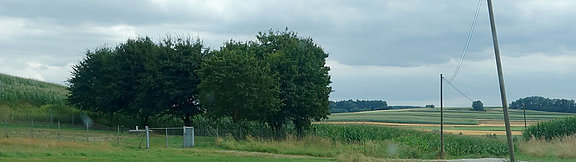 image-115